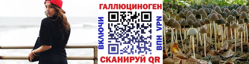 дарнет шоп Сургут Галлюциногенные грибы GOLDEN TEACHER